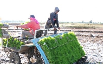 El fondo para una agricultura sostenible alcanza USD13.000 millones