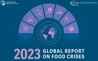 Informe Mundial sobre Crisis Alimentarias 2023